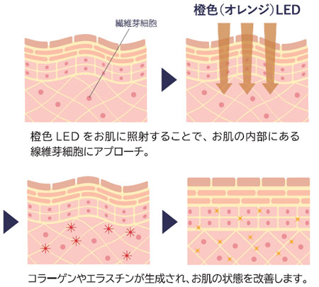 LED（赤・橙）